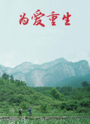 网站SEO综合诊断报告中必须关注的指标解读